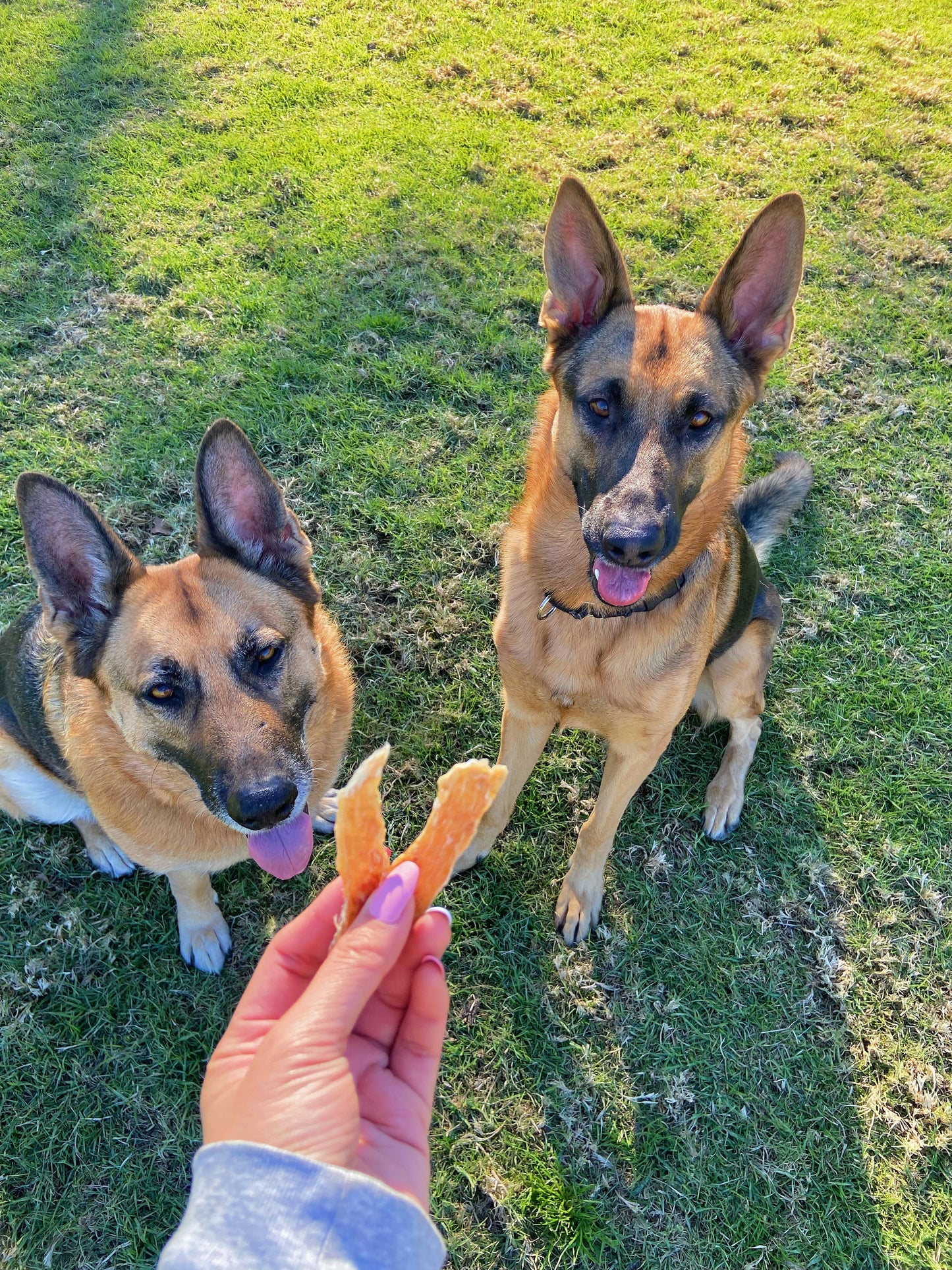 Chicken Jerky