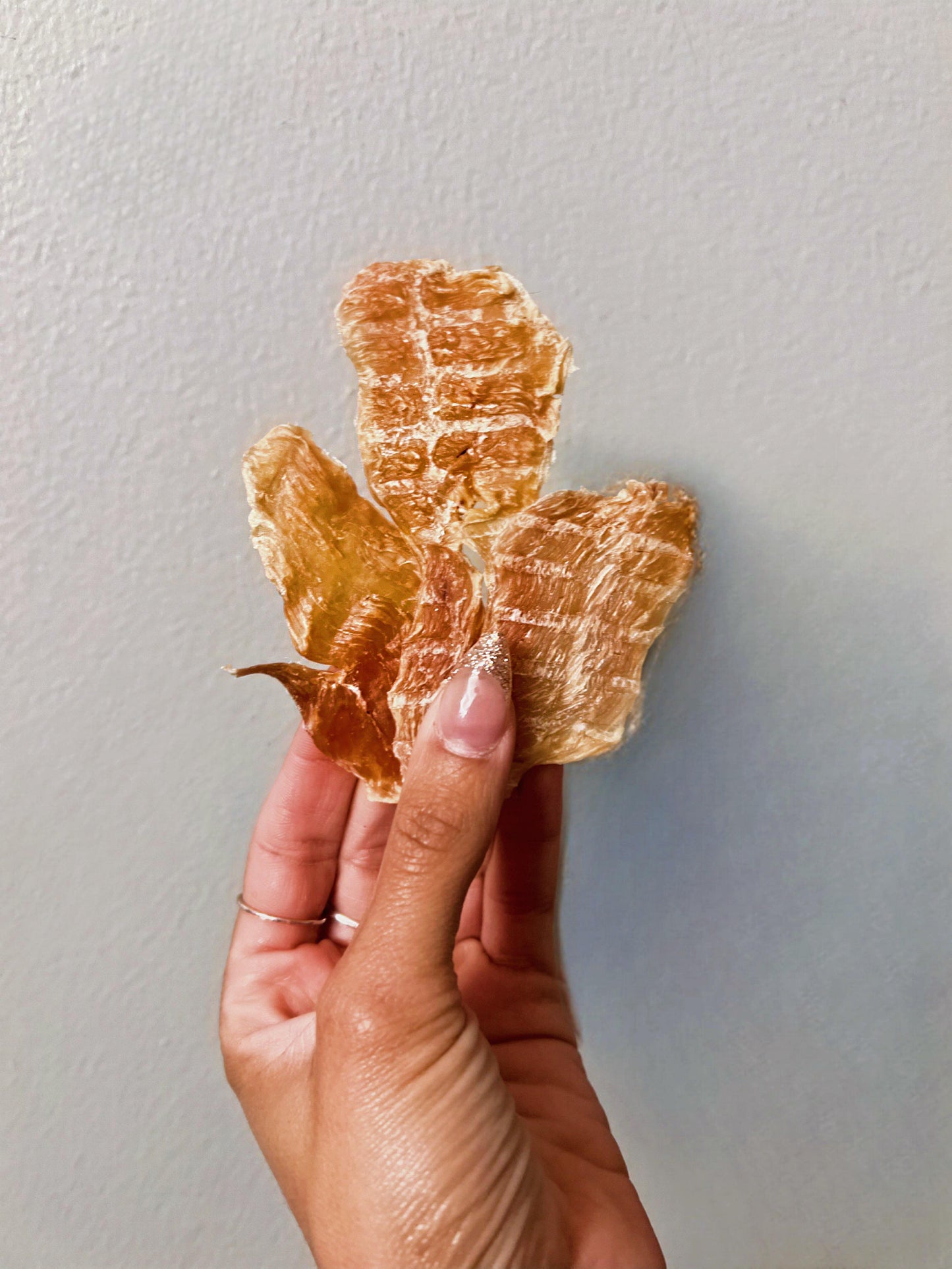 Chicken Jerky