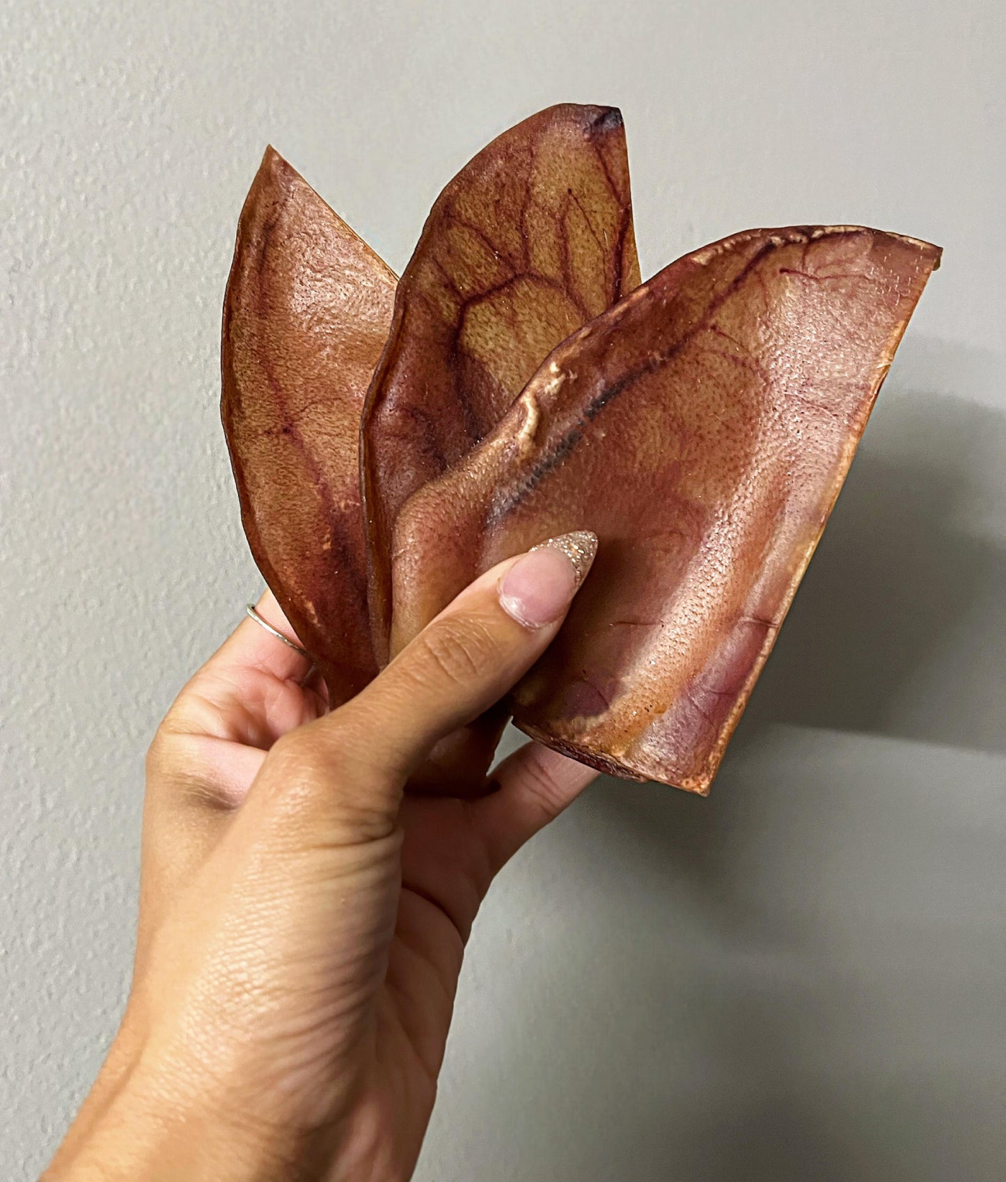 Pork Ear