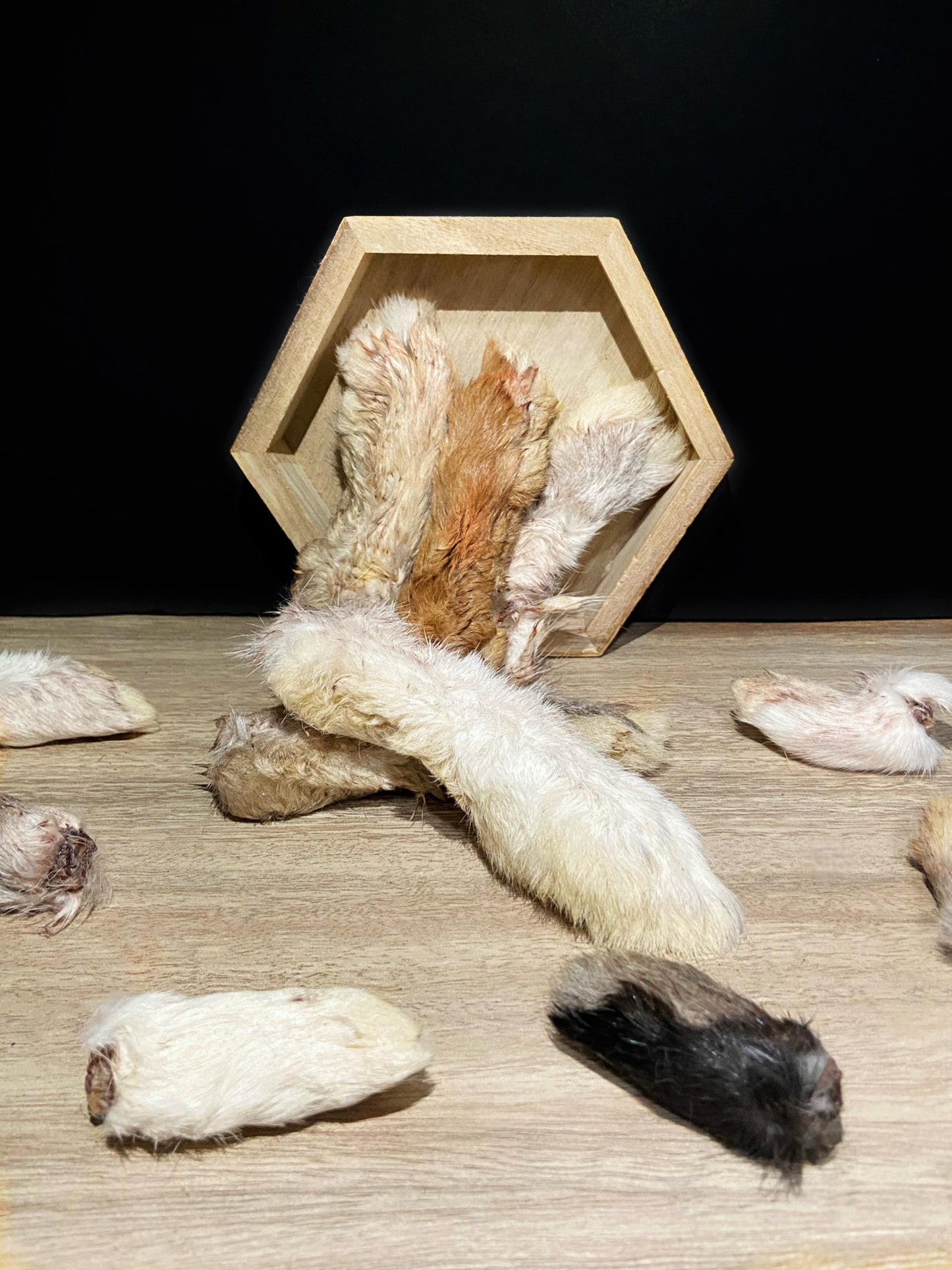 Furry Rabbit Feet