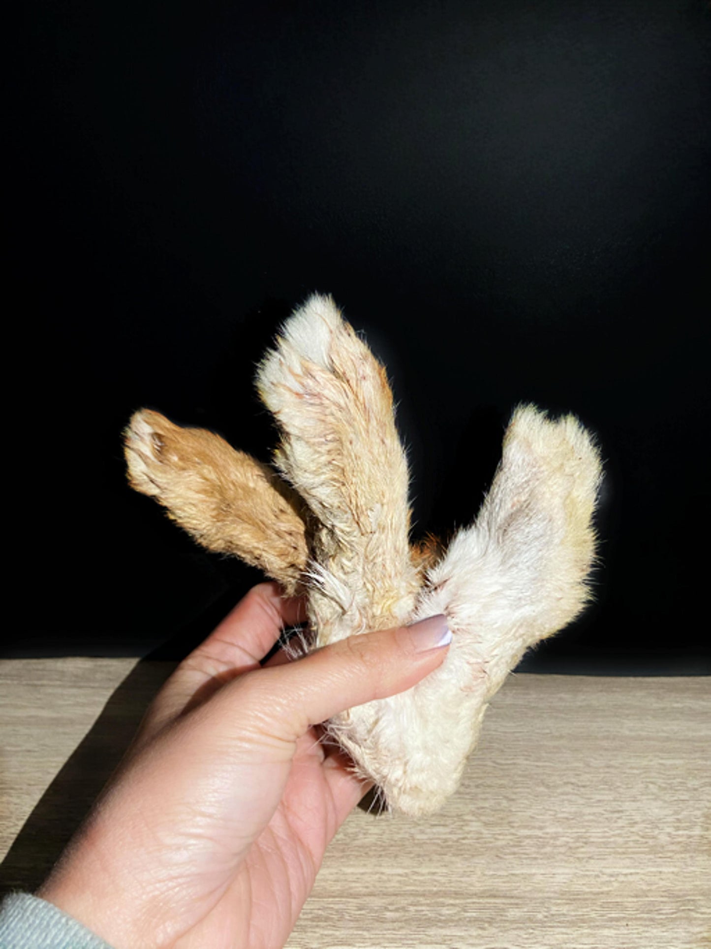Furry Rabbit Feet