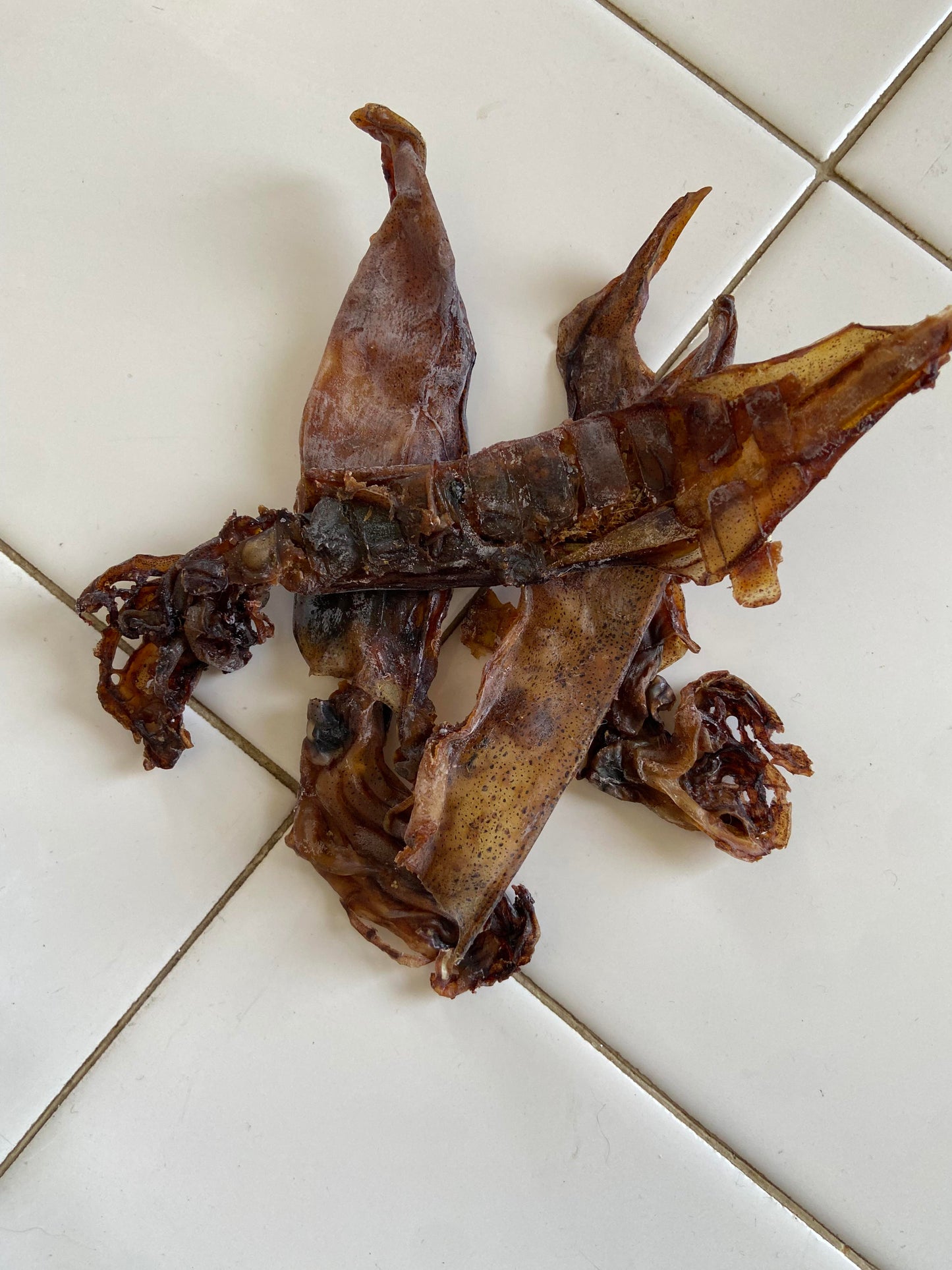 Wild Caught Whole Squid