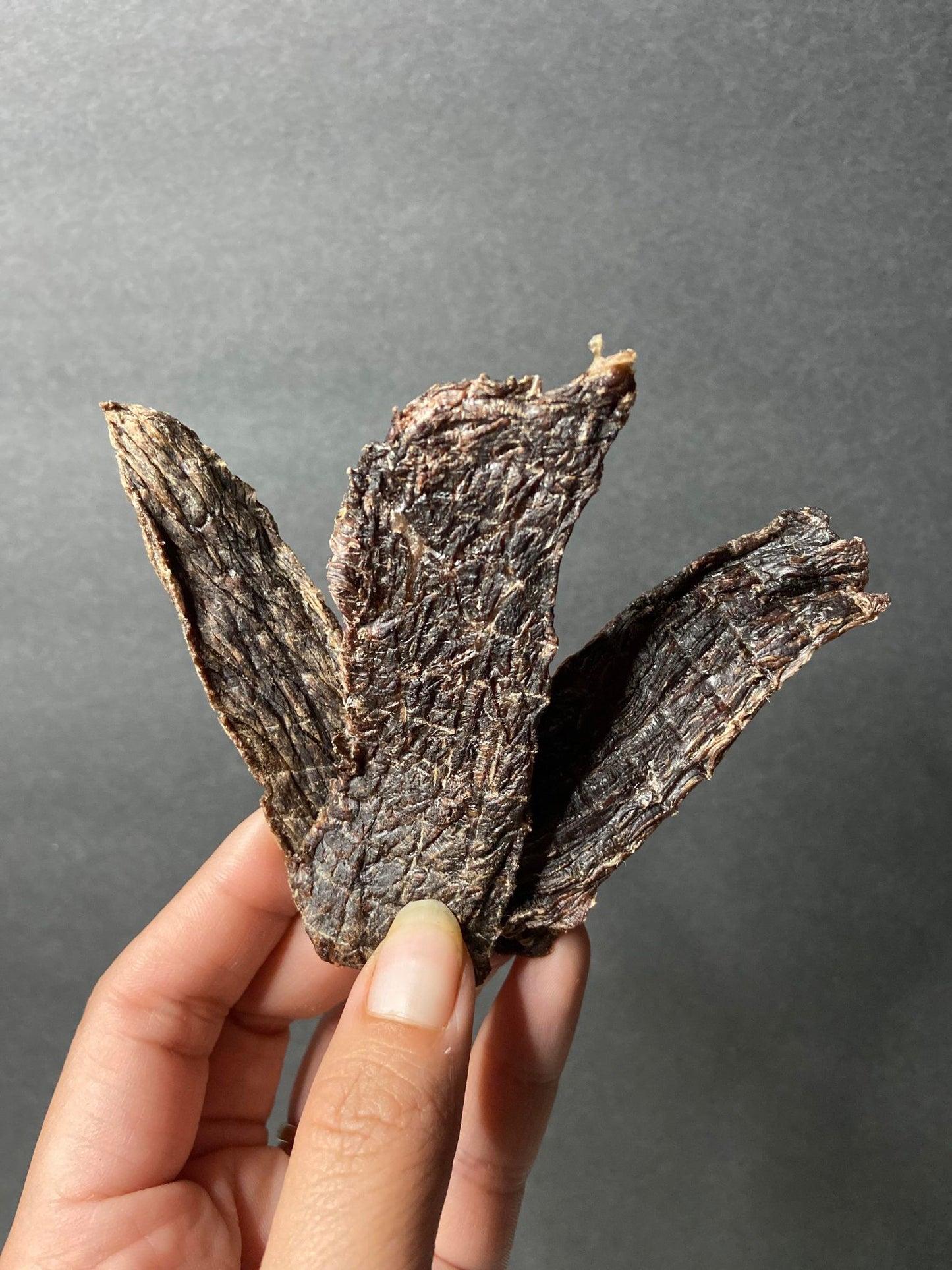 Beef Jerky