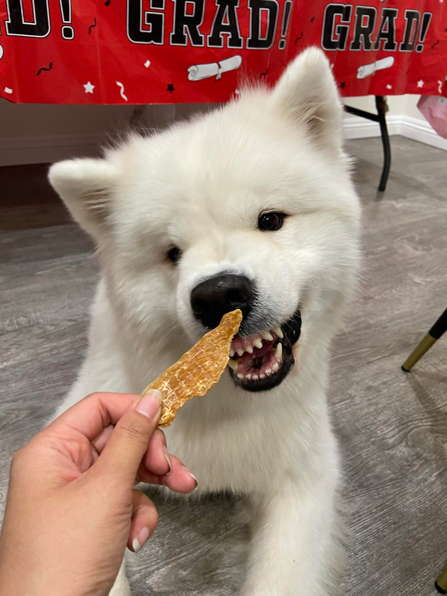 Chicken Jerky