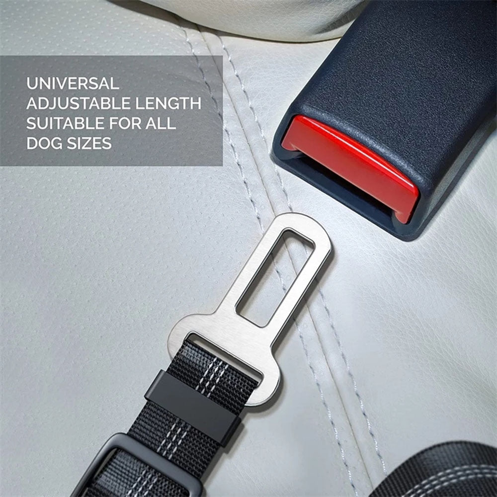 Bella Bungee Car Seat Belt