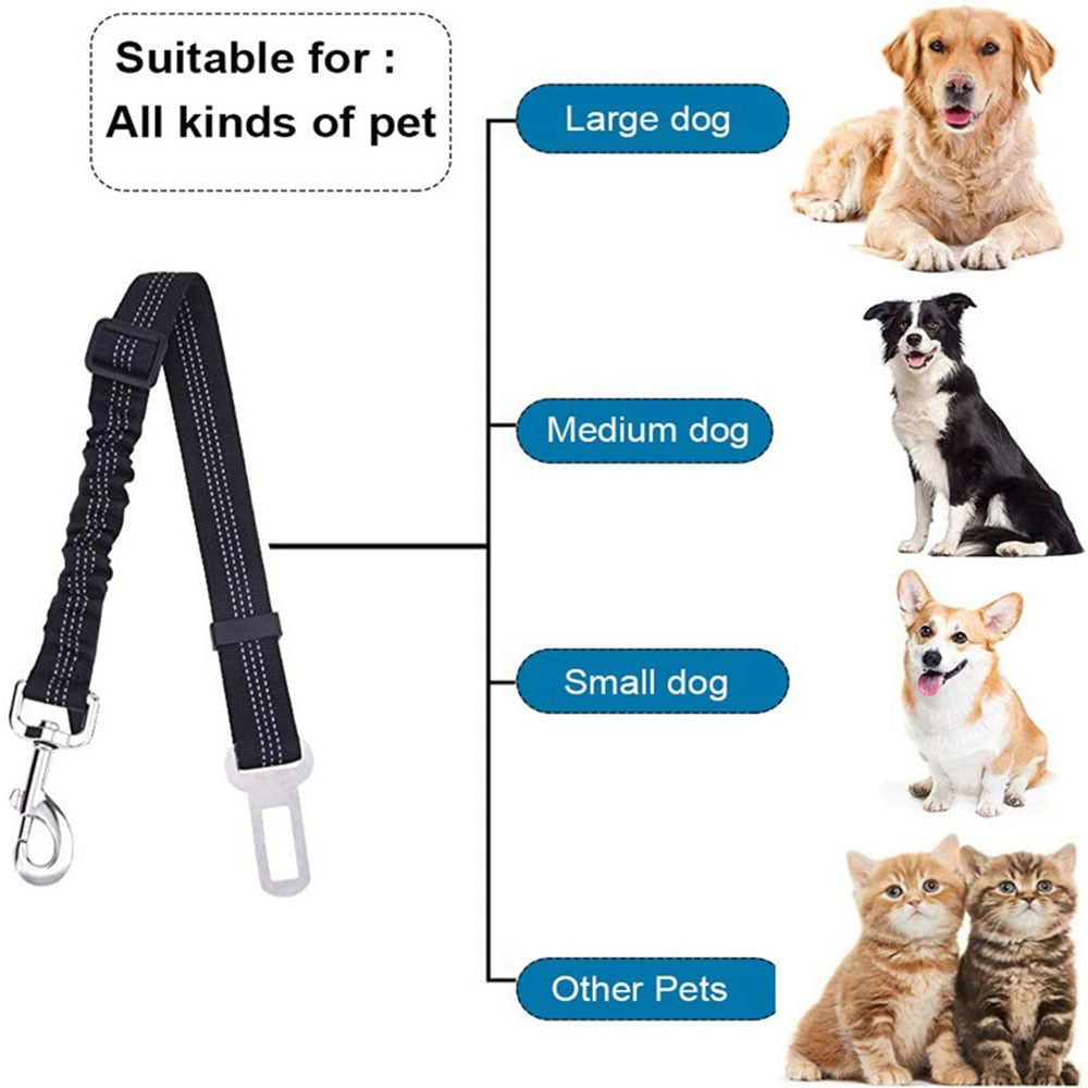 Bella Bungee Car Seat Belt