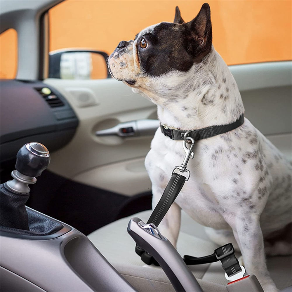 Bella Bungee Car Seat Belt