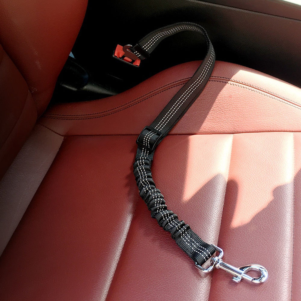 Bella Bungee Car Seat Belt