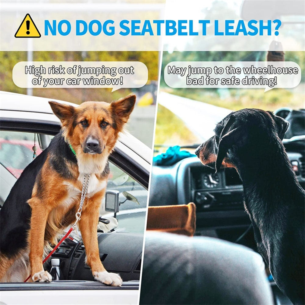 Bella Bungee Car Seat Belt