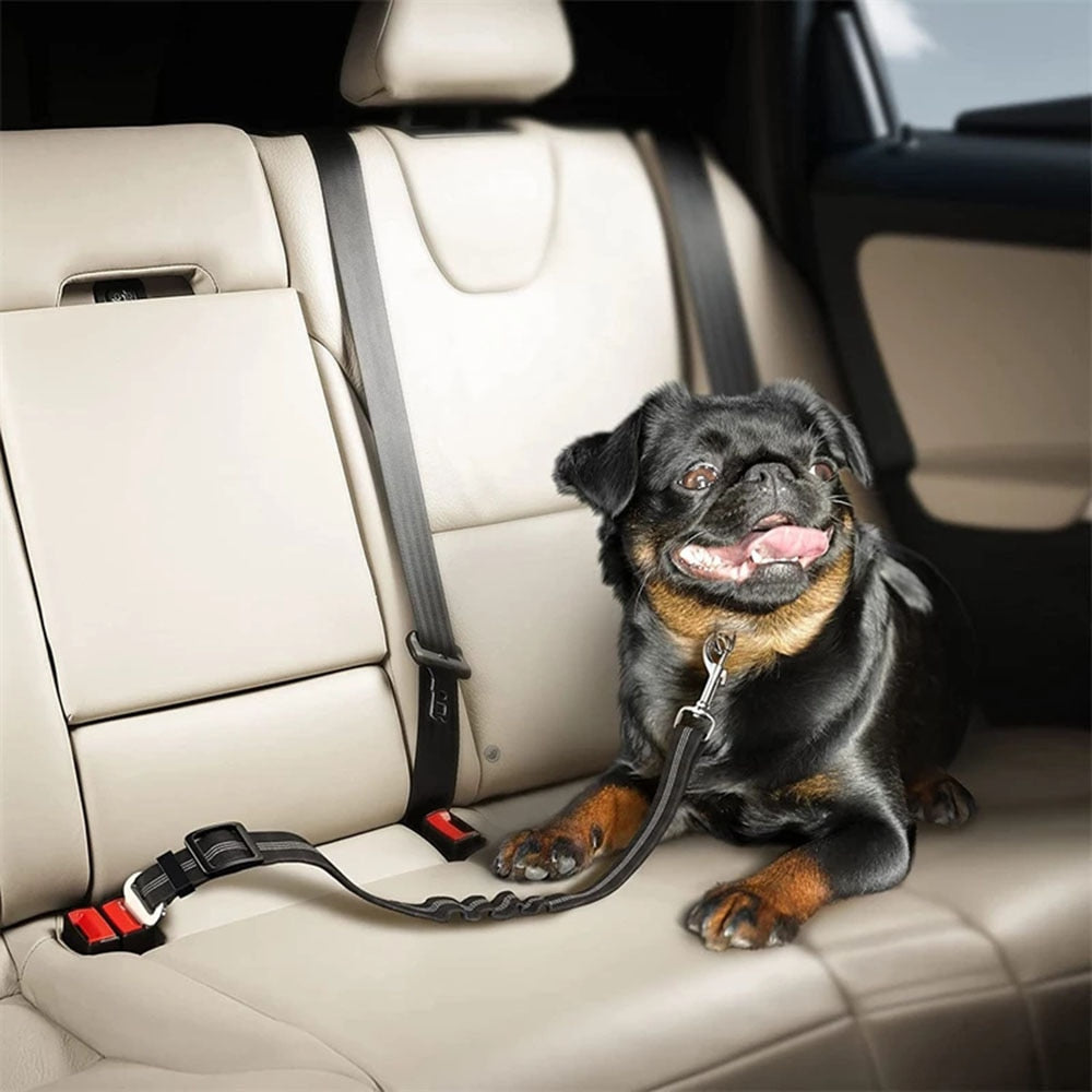 Bella Bungee Car Seat Belt