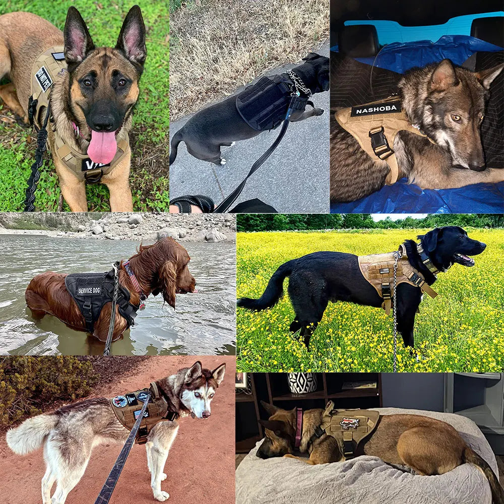 Heidi Tactical Harness