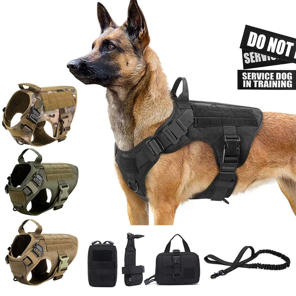 Heidi Tactical Harness