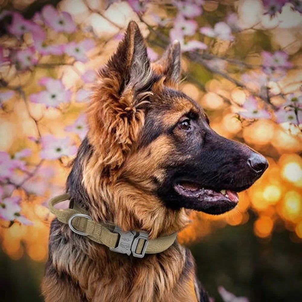 Zara Adjustable Tactical Collar With Buckle