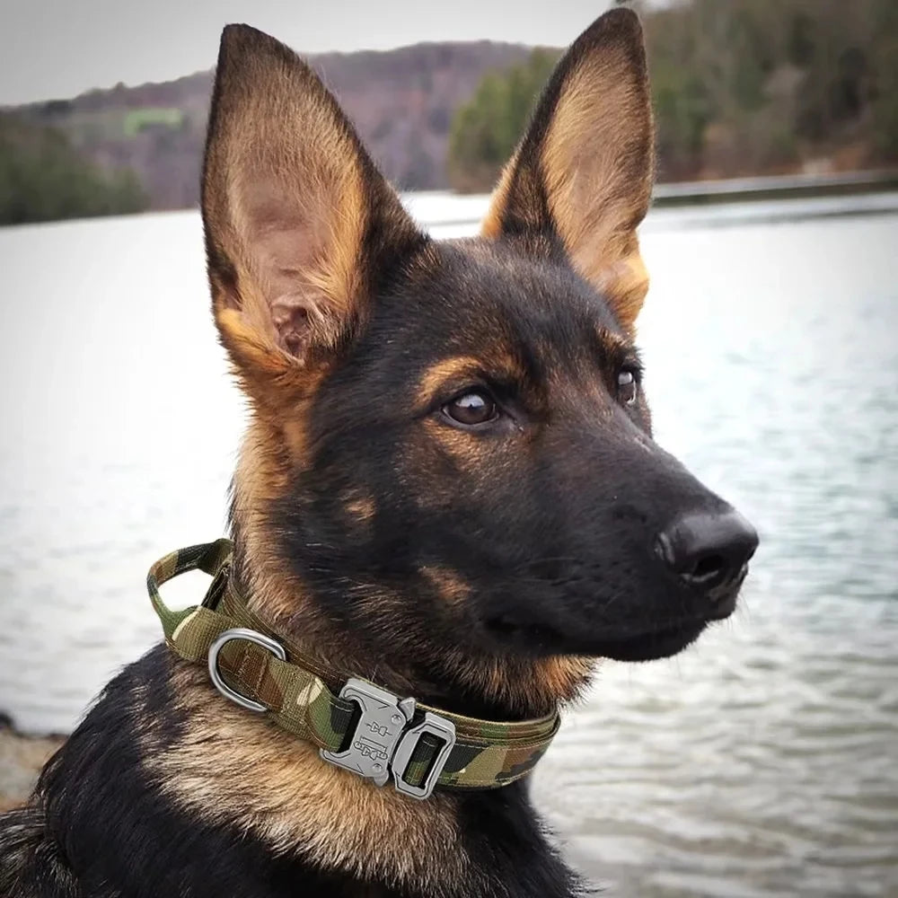 Zara Adjustable Tactical Collar With Buckle