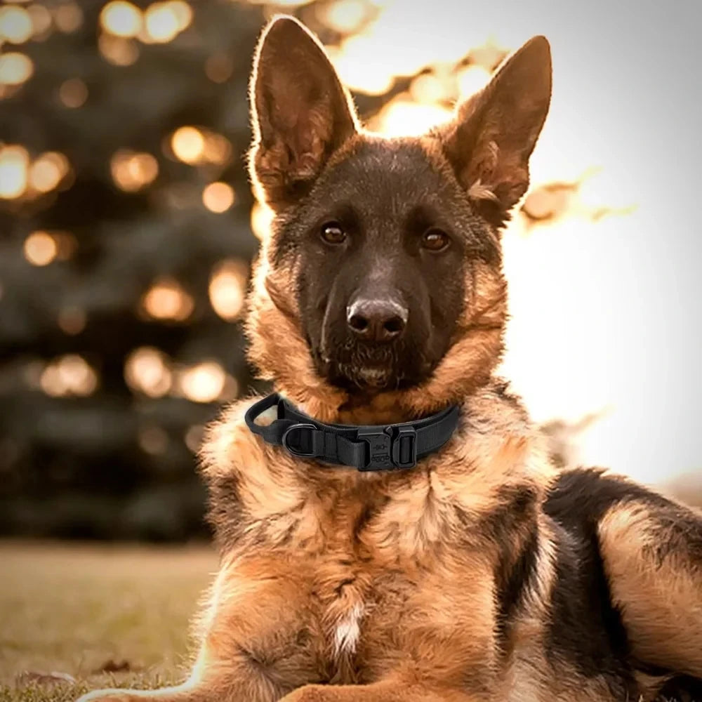 Zara Adjustable Tactical Collar With Buckle