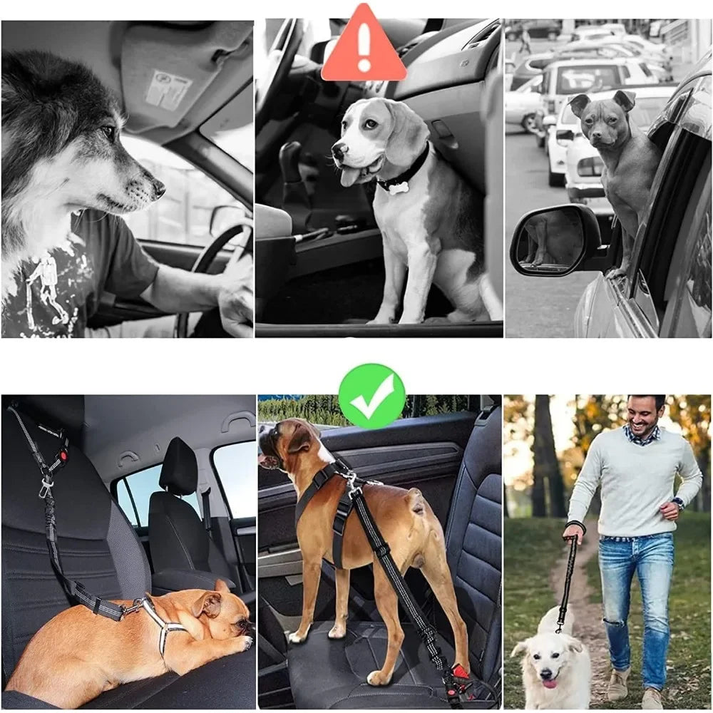 Pepper Double Use Seat Belt