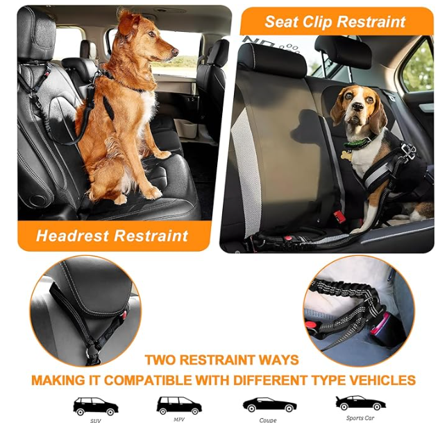 Pepper Double Use Seat Belt