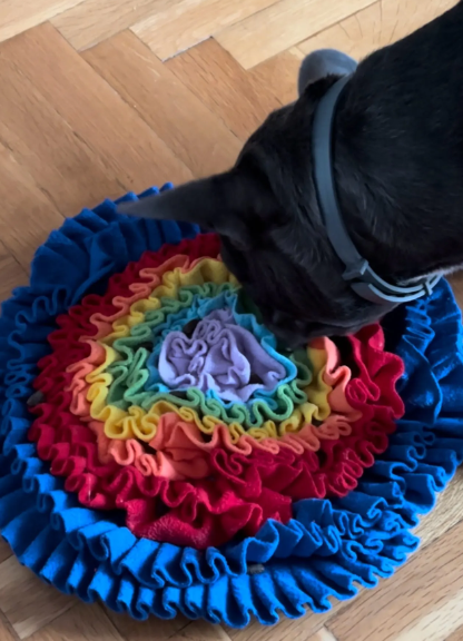 Esmeralda Snuffle Mat