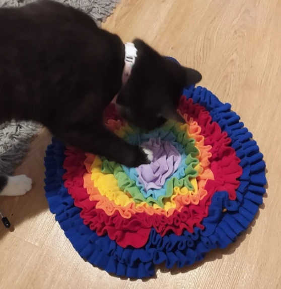 Esmeralda Snuffle Mat