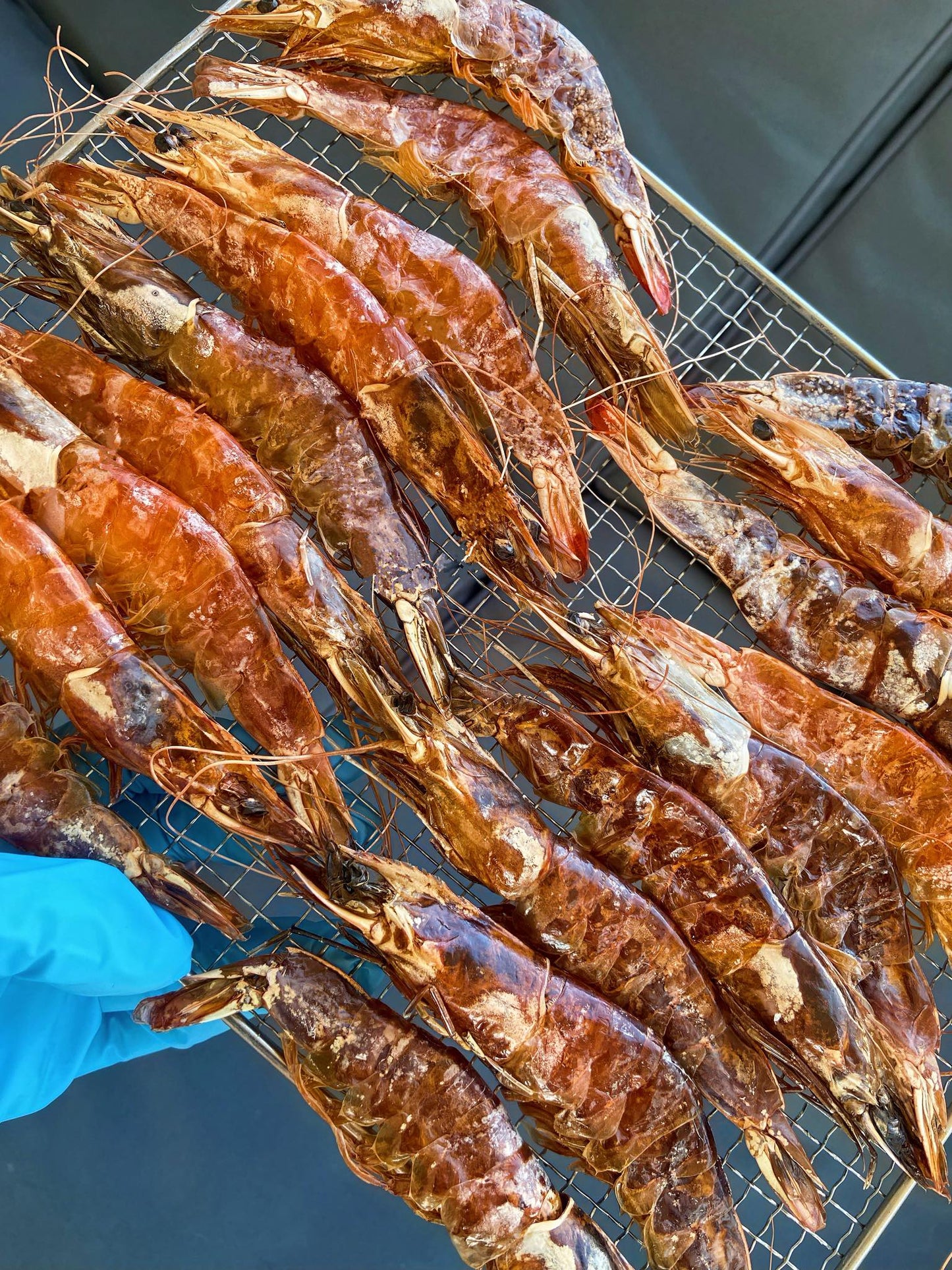 Whole Shrimp