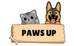 Paws Up USA