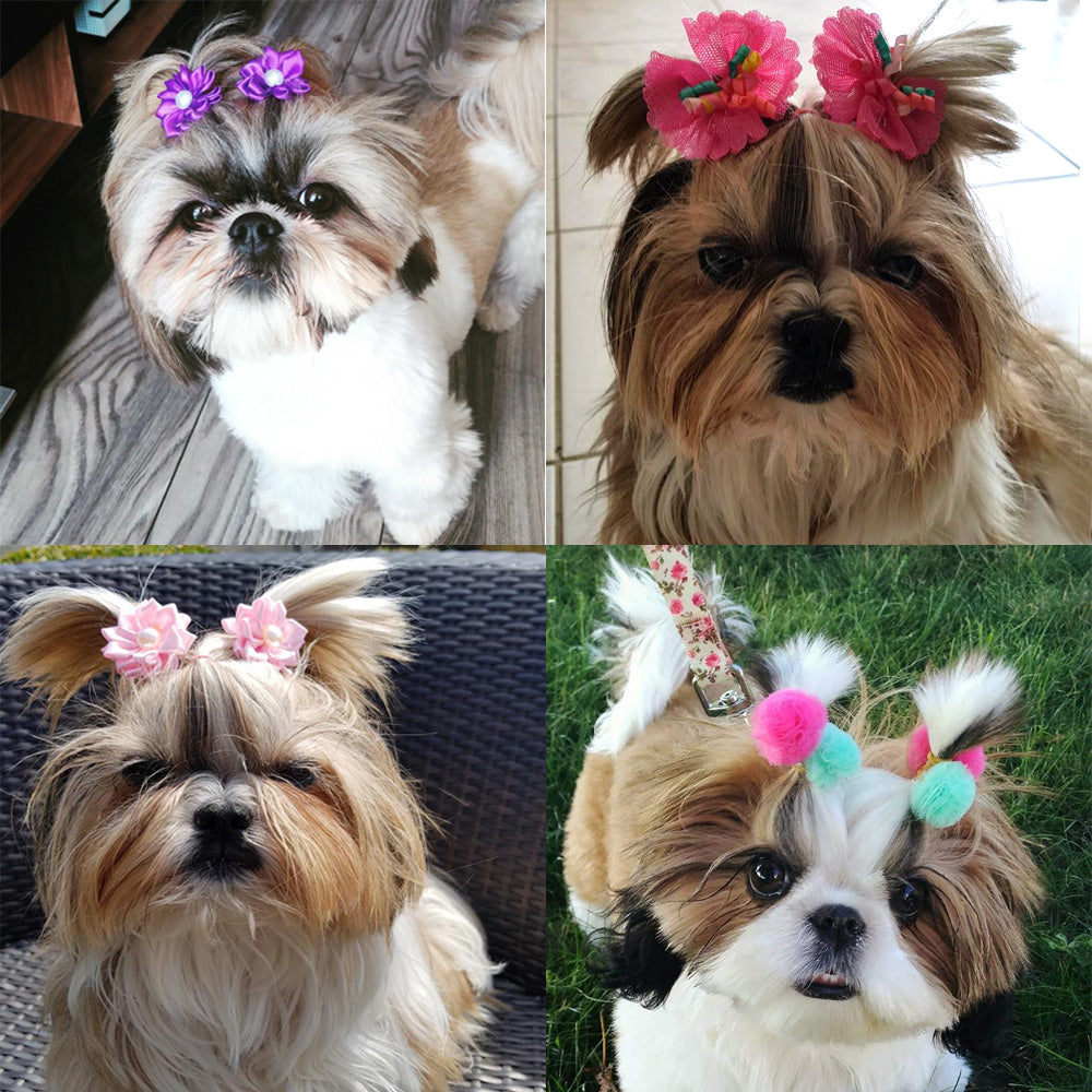Fifi Fur Bows 20 Count (Tie)