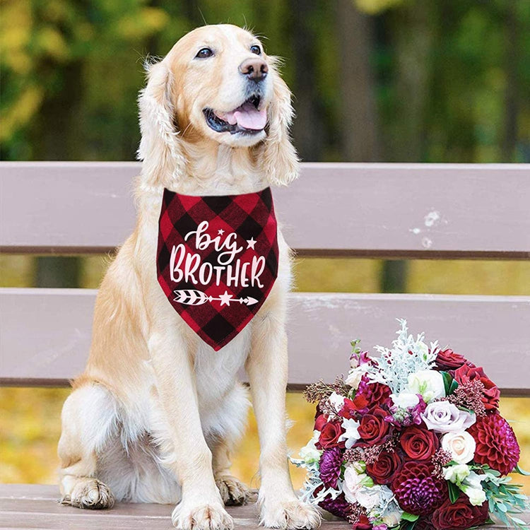 Peggy Pregnancy Announcement