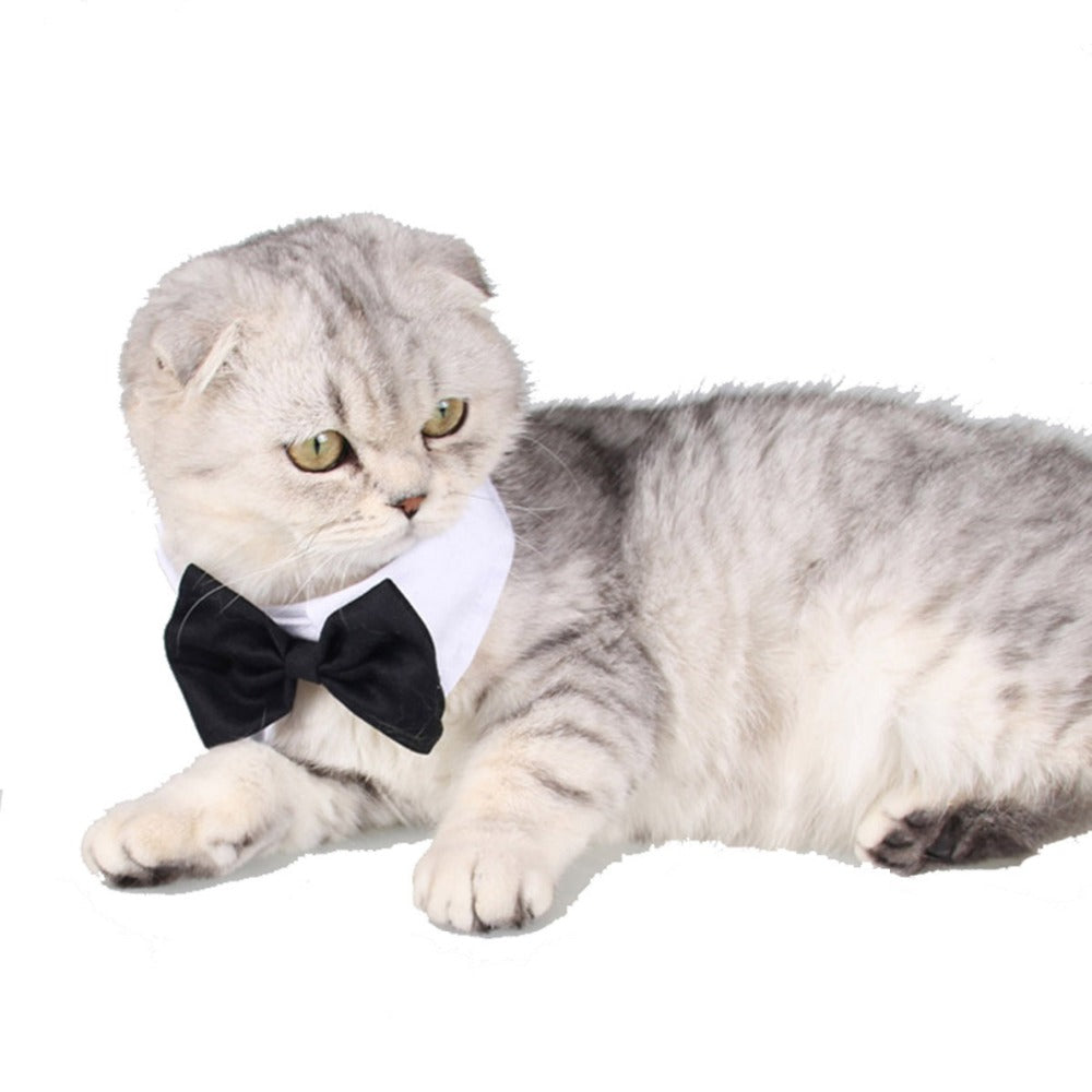 Debo Bow and Tie