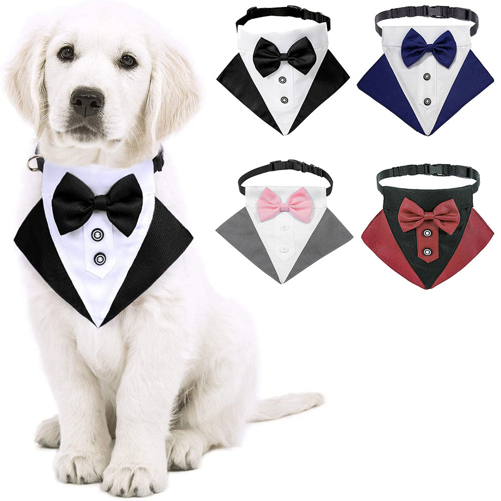 Pistol Tuxedo Collar
