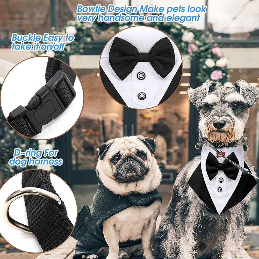 Pistol Tuxedo Collar
