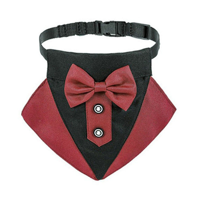 Pistol Tuxedo Collar
