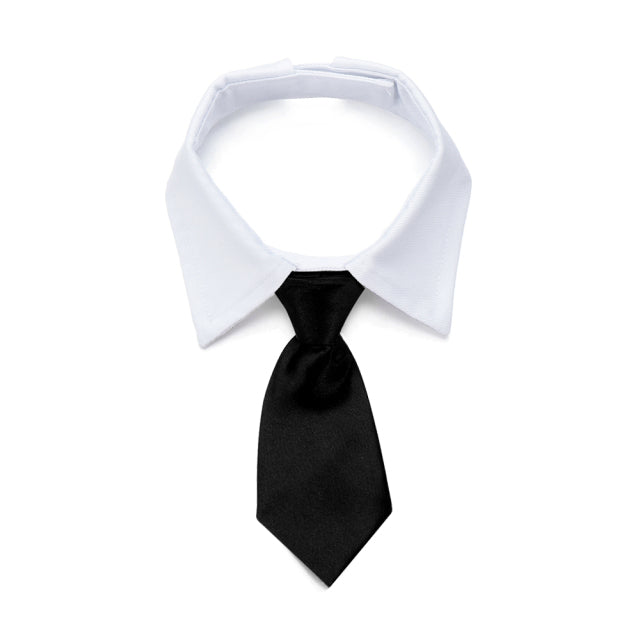 Debo Bow and Tie