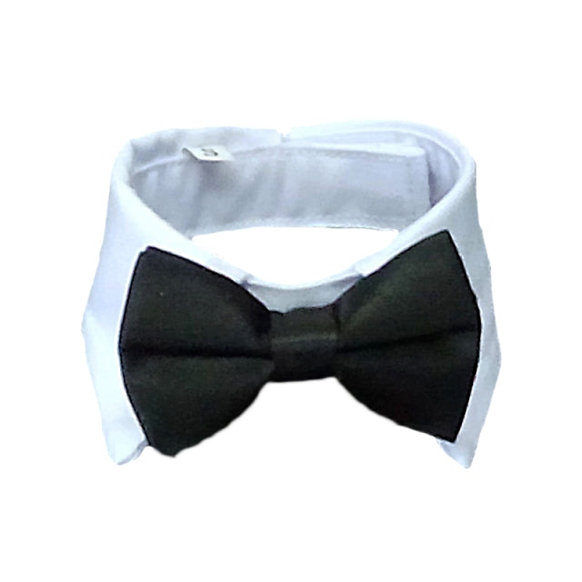 Debo Bow and Tie