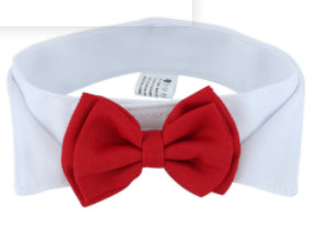 Debo Bow and Tie