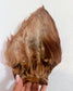 Furry Cow Ears
