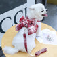 Rosie Dog Dress Harness And Leash