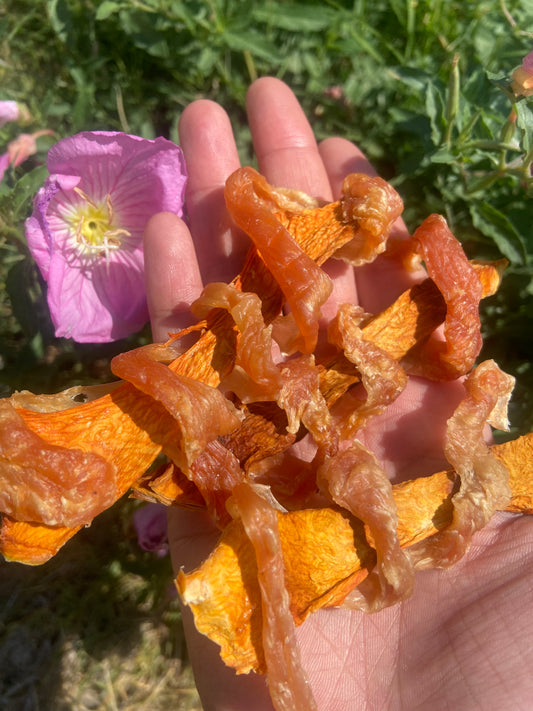 Chicken Wrap Pumpkin