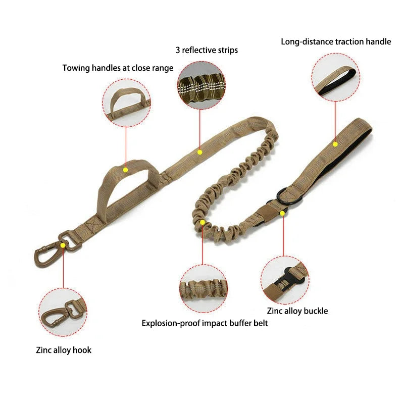 Bentley Tactical Dog Collar