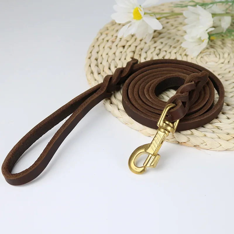 Miko Braided Leather Dog Leash