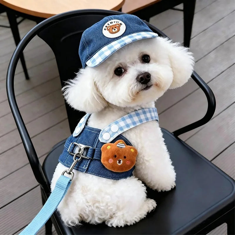 Blitz Summer Vest Dog Harness Leash Set