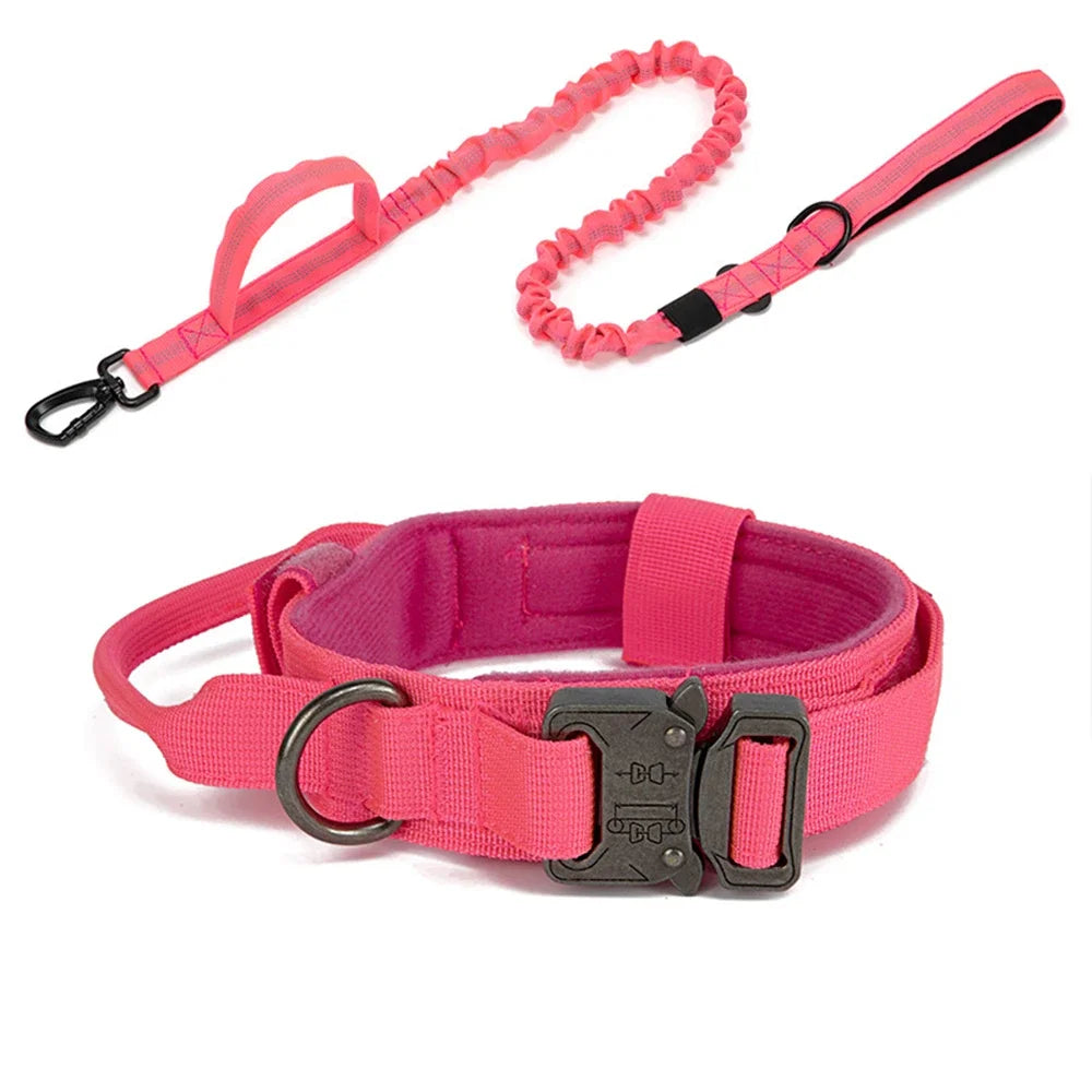 Bentley Tactical Dog Collar