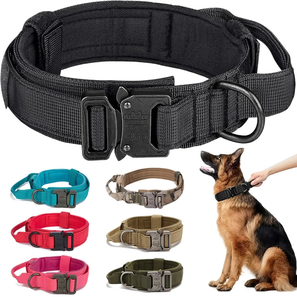 Bentley Tactical Dog Collar