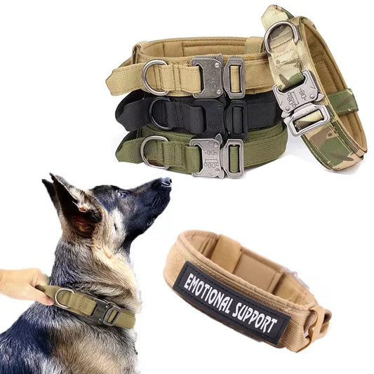 Zara Adjustable Tactical Collar With Buckle