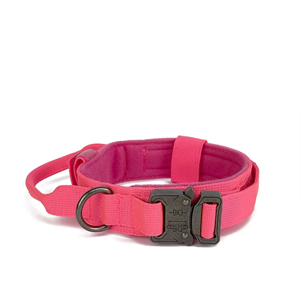 Bentley Tactical Dog Collar