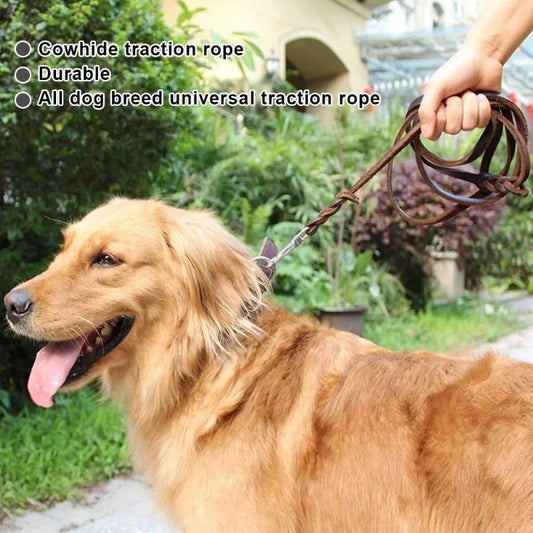 Miko Braided Leather Dog Leash