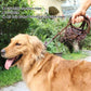 Miko Braided Leather Dog Leash