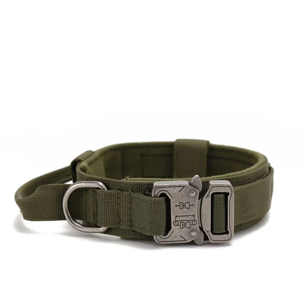 Bentley Tactical Dog Collar
