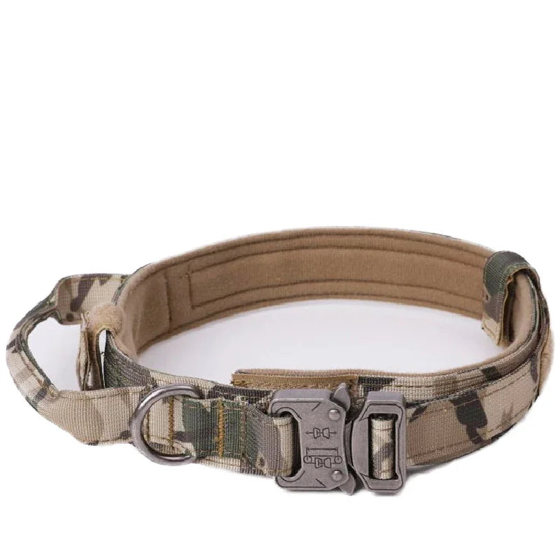 Bentley Tactical Dog Collar