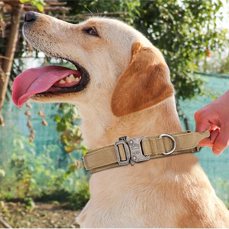 Bentley Tactical Dog Collar