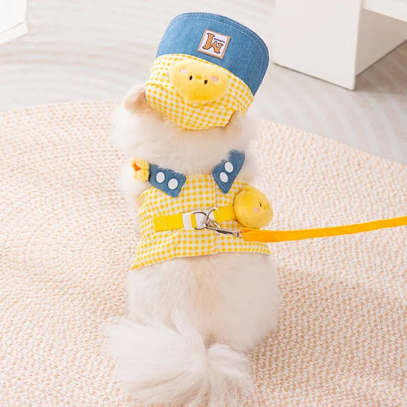 Blitz Summer Vest Dog Harness Leash Set